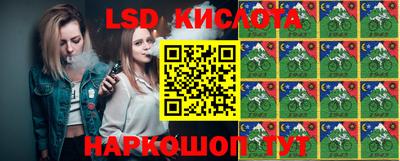 эйфоретик Берёзовский