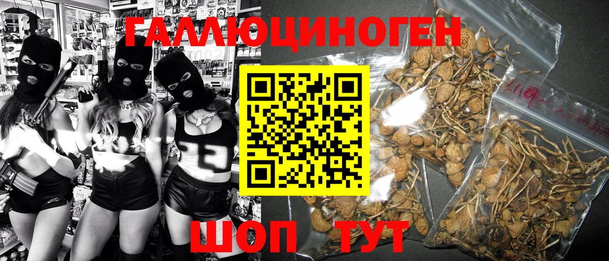 Псилоцибиновые грибы Psilocybine cubensis Иваново
