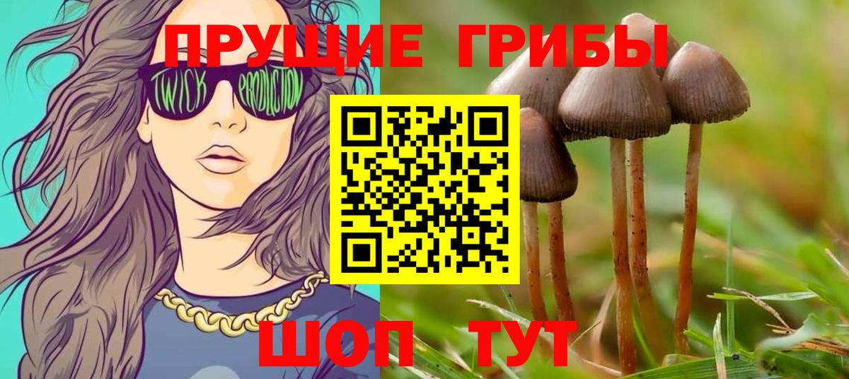 Иваново  Галлюциногенные грибы Cubensis  Вход с VPN 