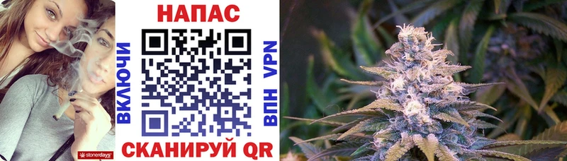 Бошки марихуана Amnesia  Иваново 
